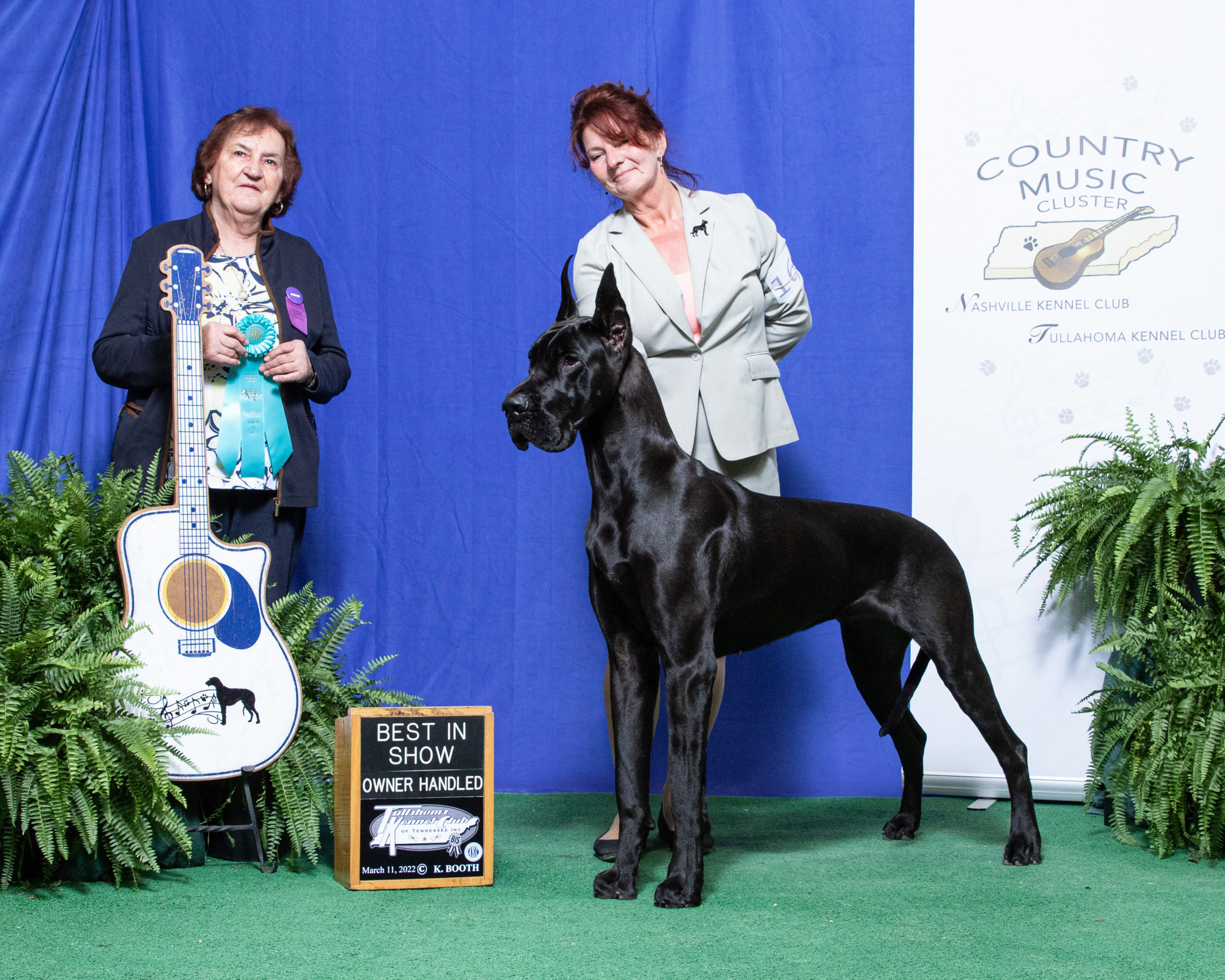 Best of Breed and Owner Handled Best of Breed for Tapestry at Shelbyville, TN shows!