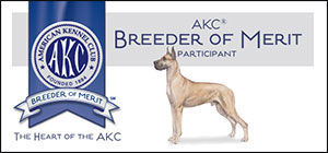 AKC Breeder of Merit Participant