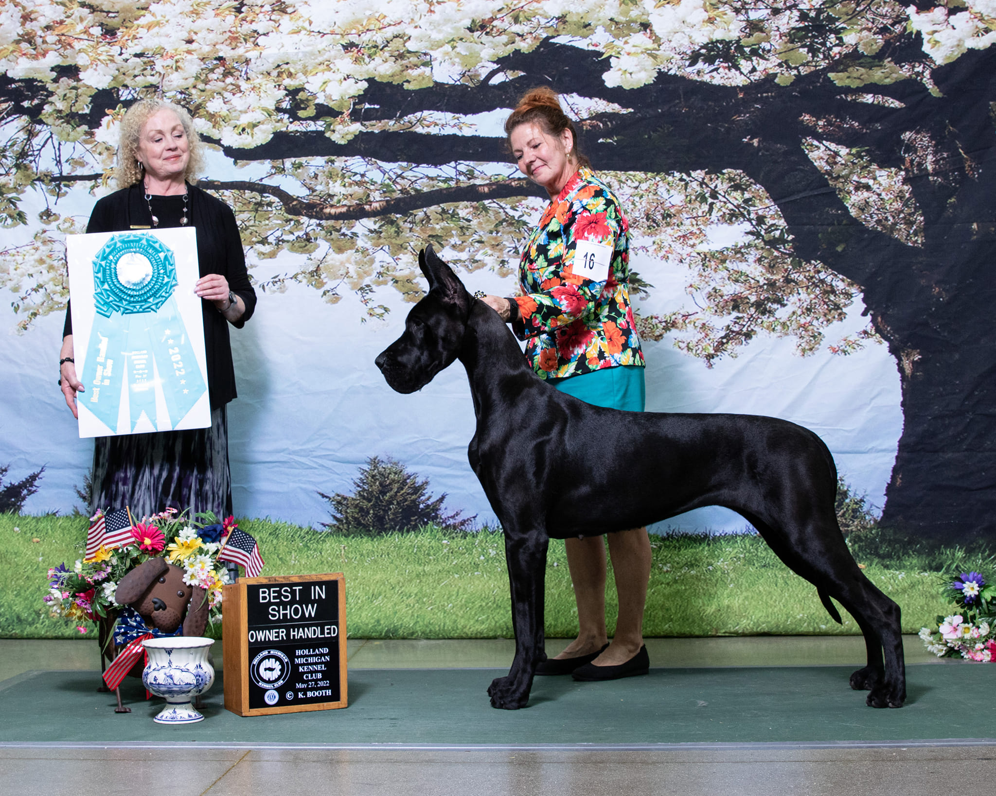 Tapestry wins Best in Show Owner-Handled in Kalamazoo, MI!