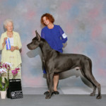 Ke'ao - Best of Winners - Hilton Head Island Kennel Club July 21, 2018