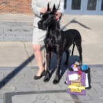 Tapestry - BOB/BOBOH - Shelbyville, TN - March 11, 2022