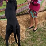 Tapestry at the shows in Jackson, TN March 24-27, 2022