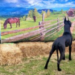 Tapestry at the shows in Jackson, TN March 24-27, 2022