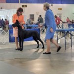 Tapestry performs at the shows in Jackson, TN March 24-27, 2022