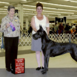 Astra - Winners Bitch/New AKC Champion - Atlanta Kennel Club September 2008