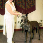 Astra - UKC New Champion 2007