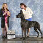 BISS GCH
Shades Tapestry Of Stetson TY Silver Linings AOM Tapestry - BISS/BOB/BOBOH - Great Dane Club of Central North Carolina March 4, 2022