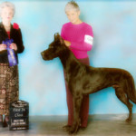 CH LaDoguerie El Padrino ("Onyx")