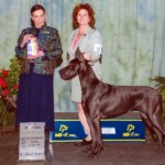 Vintage - Best of Breed - Greater Kingsport Kennel Club, Grey, TN May 18, 2013