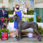 Ke'ao - Best of Winners/New Champion - Atlanta Kennel Club April 2021