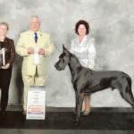 Nakoa - Great Dane National Futurity - 4th place, October 2015