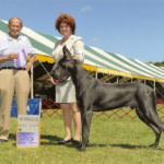 Nakoa - Winners Dog/Best Puppy - Moore County Kennel Club, Pinehurst, NC 9-13-2015