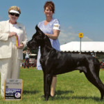 CH Shades Black Stetson V Magnum CGC TDI Stetson - Best of Breed - Charlotteville-Albermarle Kennel Club May 31, 2009