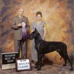 Stetson - Reserve Best in Show - UKC Carolina Classic 2009