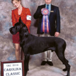 Stetson - Reserve Best in Show - UKC Carolina Classic 2010