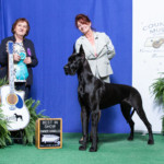 Tapestry - BISOH Shelbyville TN March 10, 2022