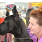 Waiting ringside to go show!