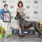 BISS CH
Shades Vintage Stetson, Evia Vintage wins Best in Specialty Show - Great Dane Club of Metropolitan Washington June 29, 2014