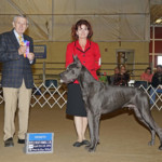 Ke-ao - Winners Dog, Myrtle Beach Kennel Club April 28, 2018