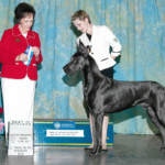 UKC CH Shades Lazy Days Stand Tall For Akiva