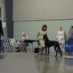 Tapestry wins BOB & BOBOH - Perry, GA April 13, 2022